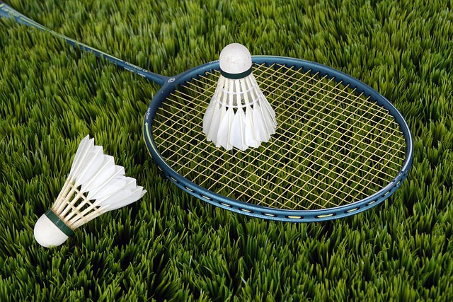 badmintonová raketa s míčky na trávníku